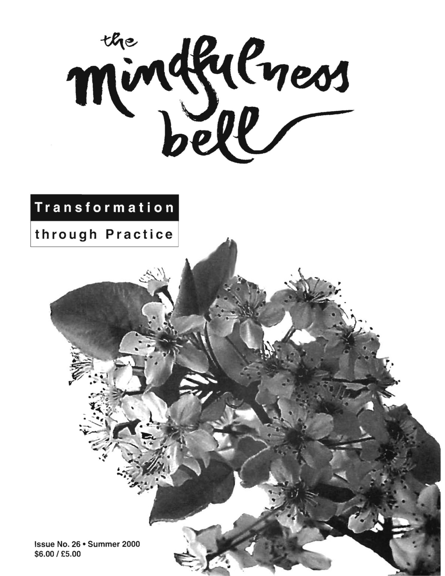 Mindfulness Bell #26