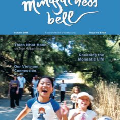 Issue 40
