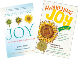 Awakening Joy bundle