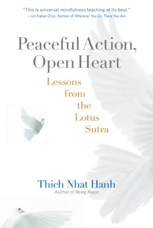 Peaceful Action, Open Heart 