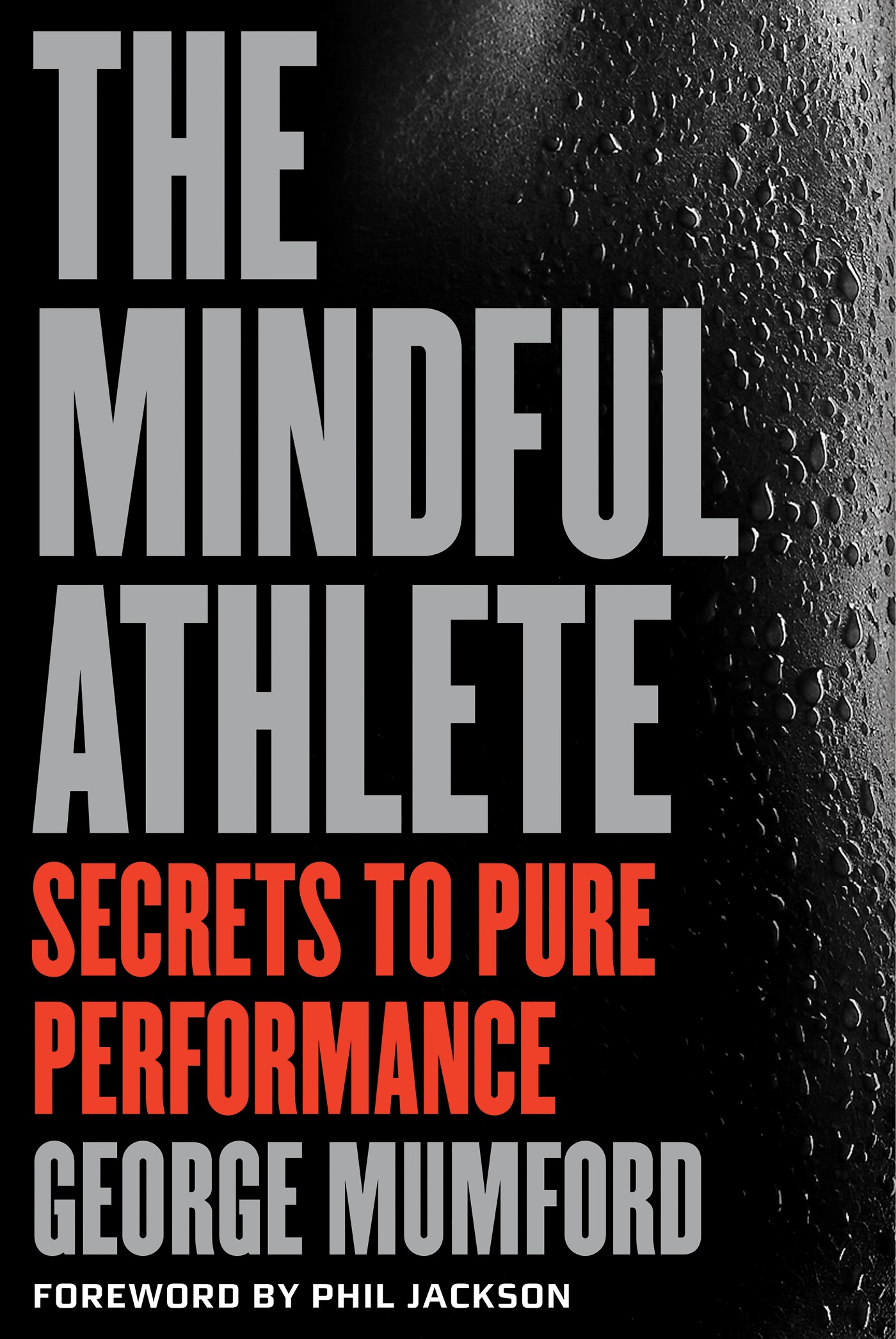 District Vision Mindful Athlete シングレット　L The Mindful Athlete – Parallax Press