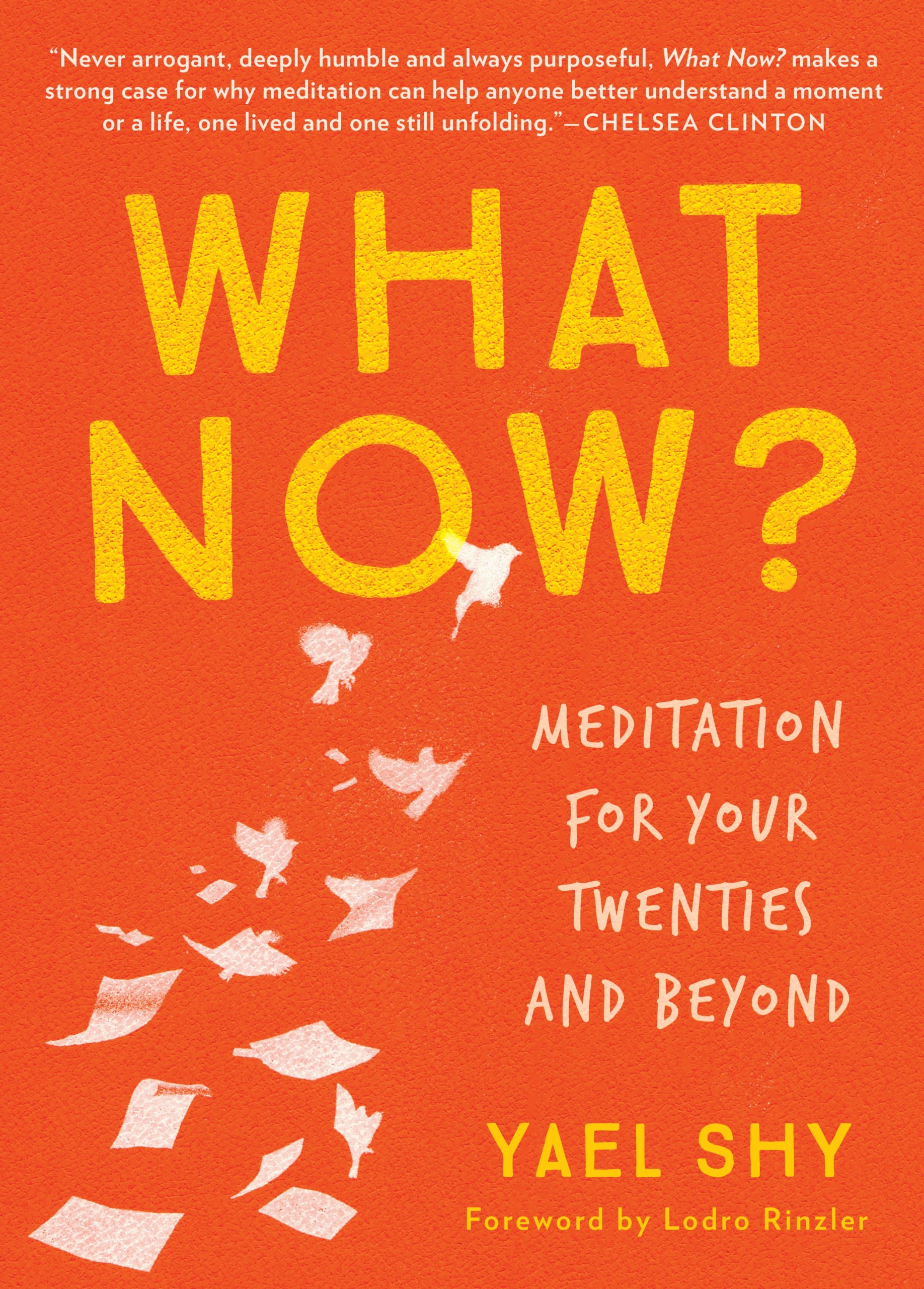What Now? – Parallax Press