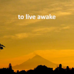 To Live Awake