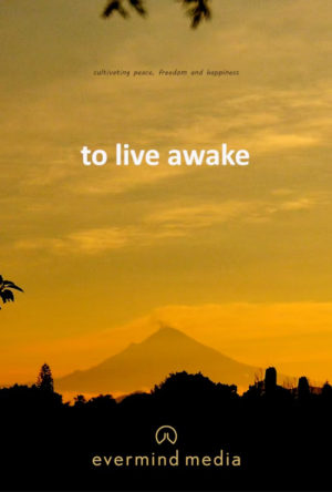 To Live Awake