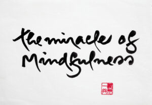 Miracle Of Mindfulness