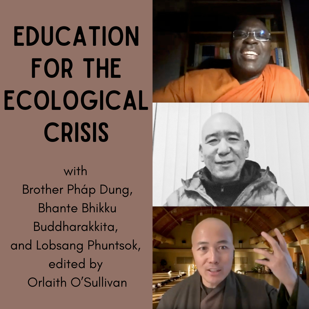 Education for the Ecological Crisis