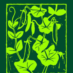 Mindfulness in the Garden