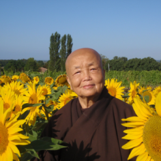 Sister Chan Khong