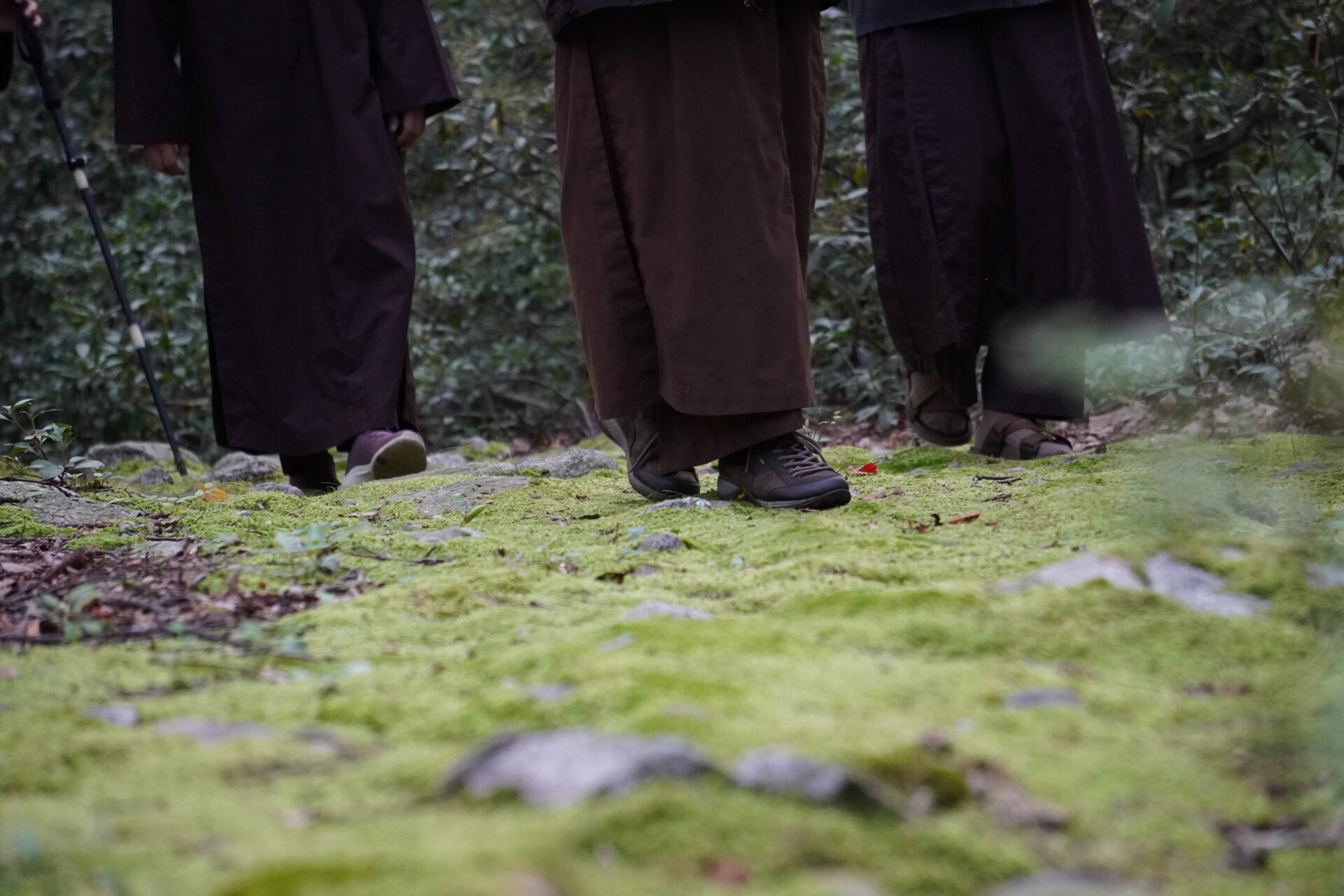 Walking with Ancestors 
