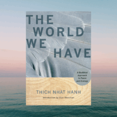 The World We Have