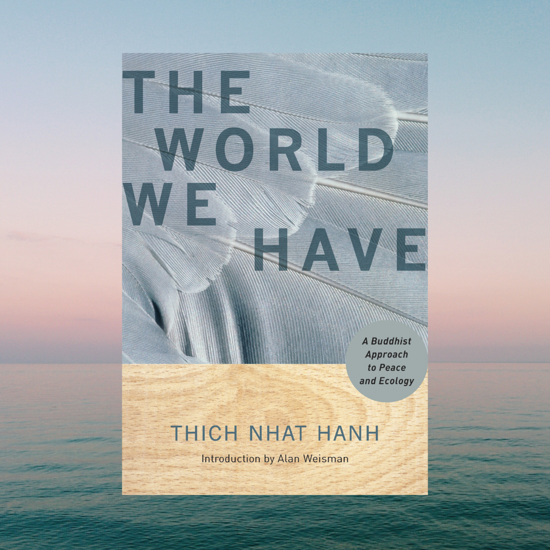 The World We Have