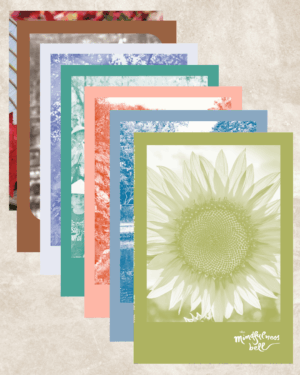 The Mindfulness Bell Bundle