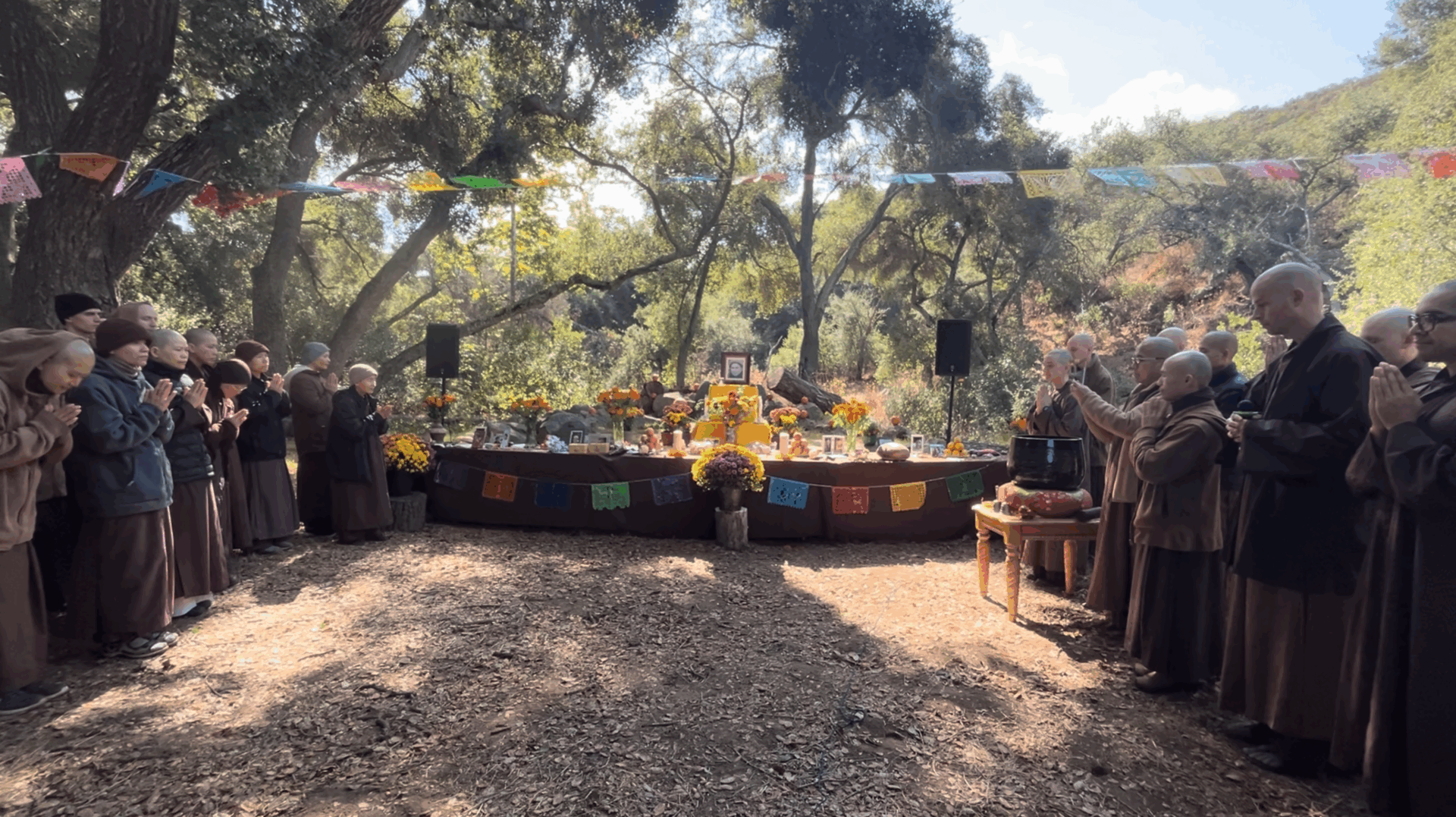 Meditations on our Ancestors