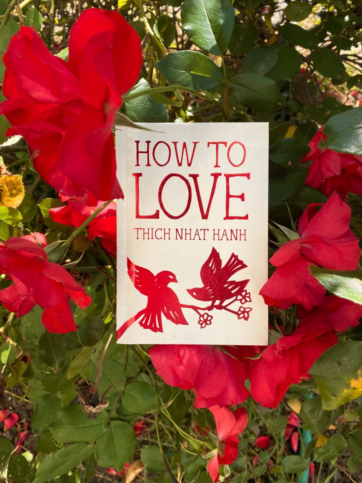 How to Love Special Edition