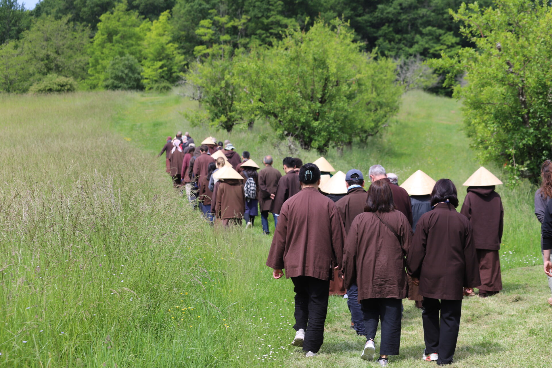 Walking Joyfully Together